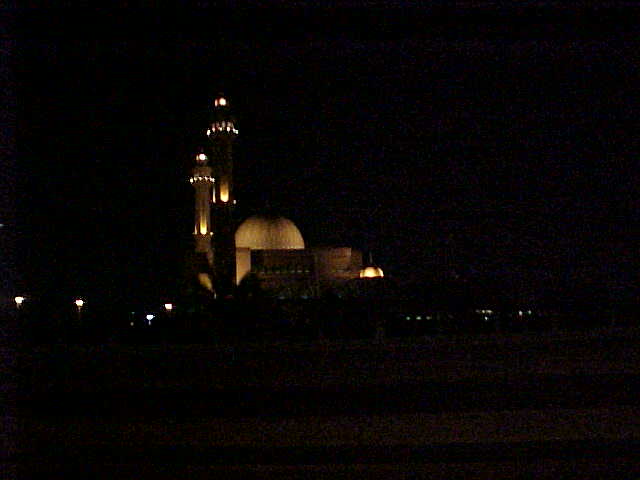 Bahrain Grand Mosque Night