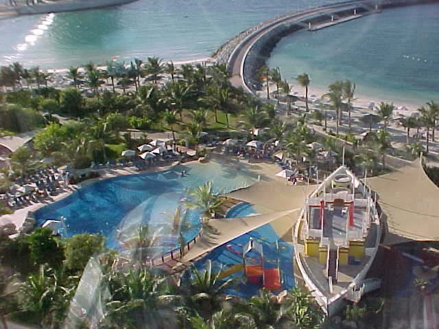 Dubia Pool