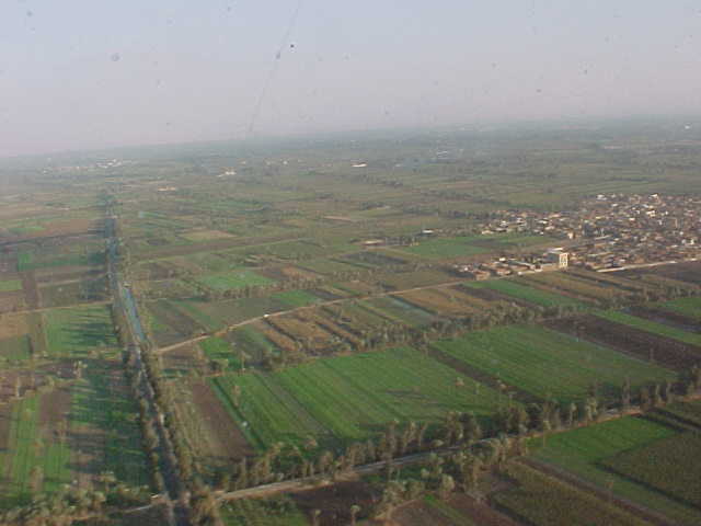 Egypt Fields